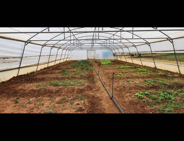 FARM FOR SALE IN HEKPOORT